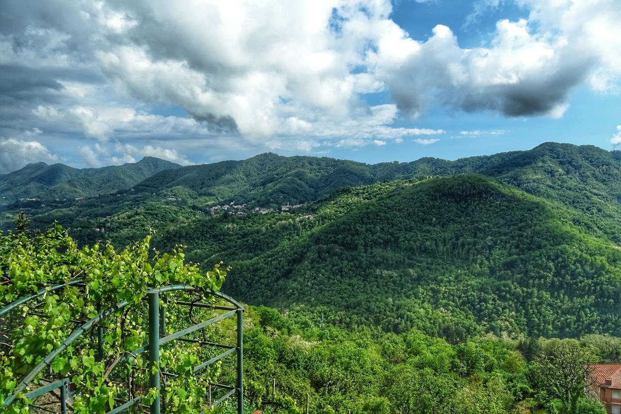 Bed And Breakfast Le Quattro Stagioni Neirone Екстер'єр фото